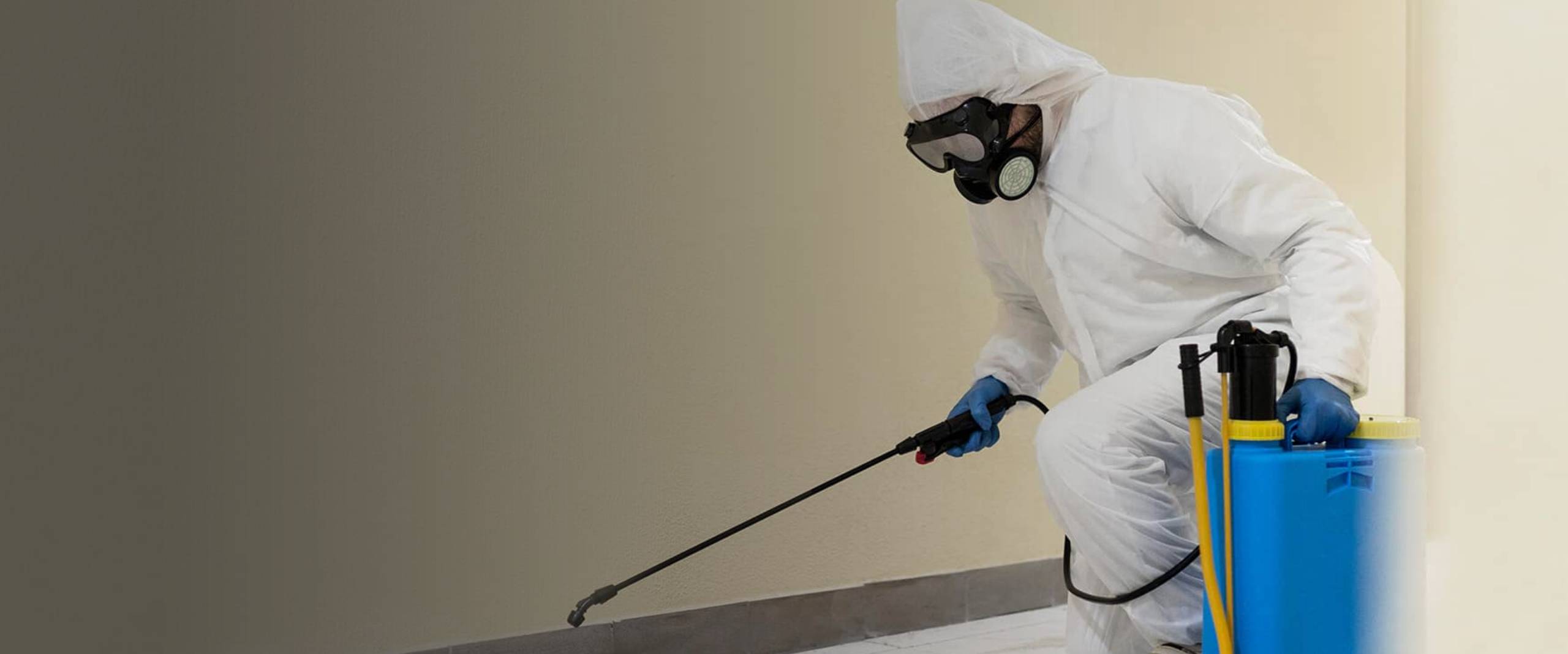 mould remediation