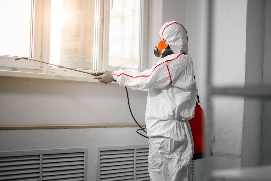 mould removal work