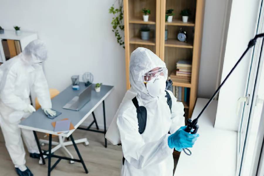 residential mold removal